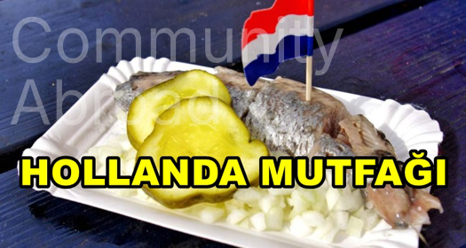 HOLLANDA MUTFAĞI 